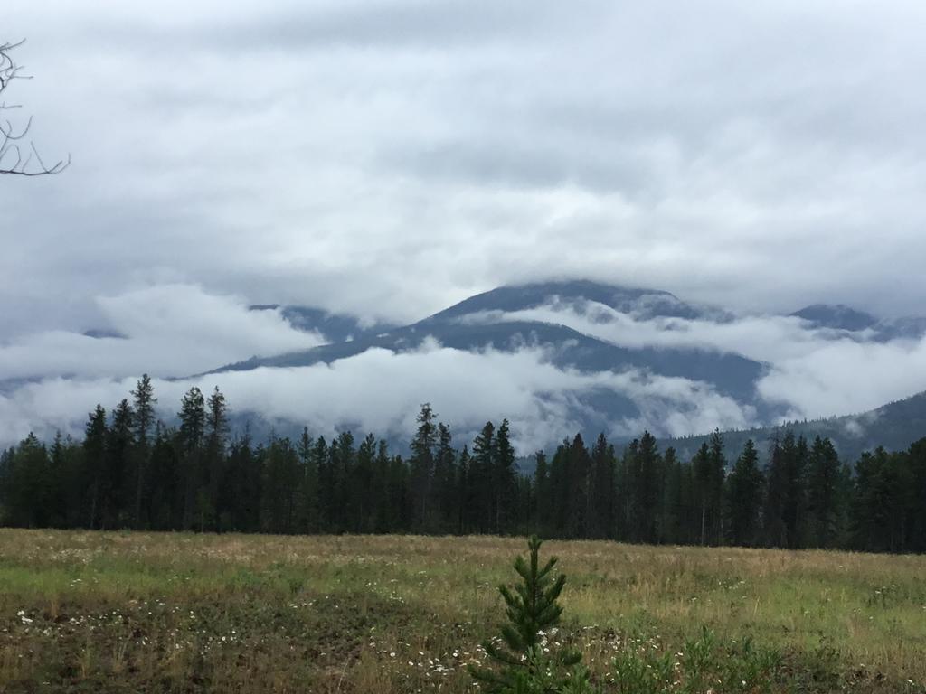 Rose Cottage Bed&Breakfast Valemount Exteriör bild