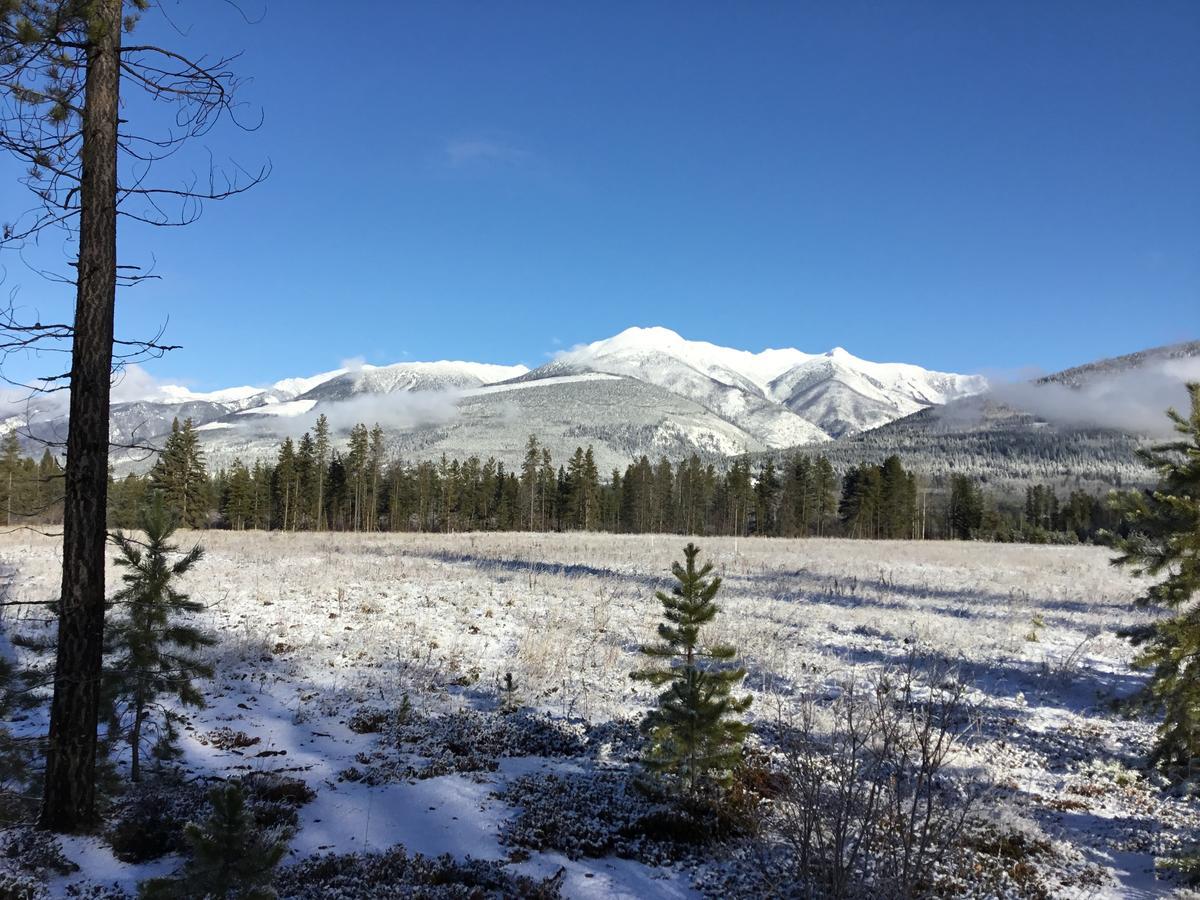Rose Cottage Bed&Breakfast Valemount Exteriör bild