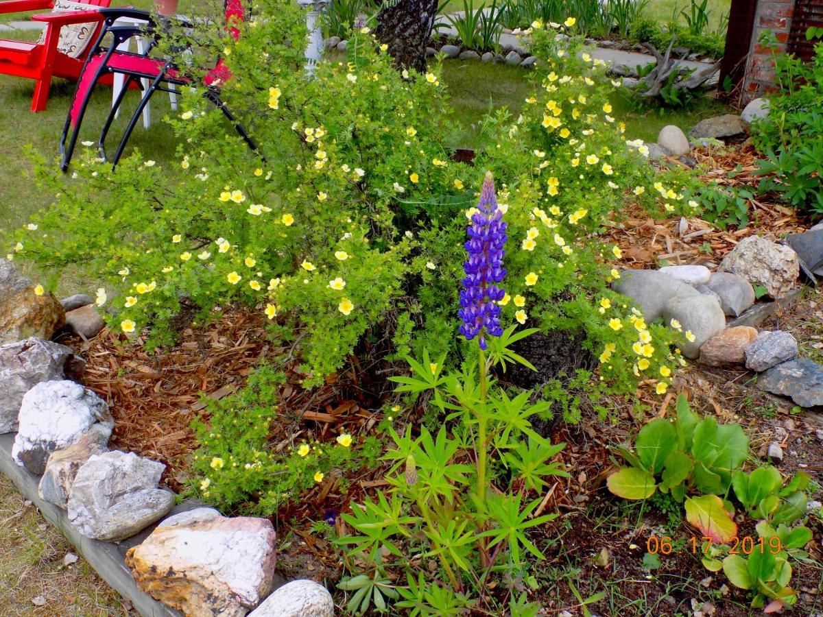 Rose Cottage Bed&Breakfast Valemount Exteriör bild